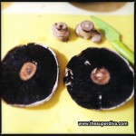 Portobello Mushrooms