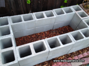 Cinderblock Raised Garden Bed